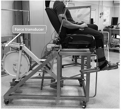 Evidence of Improved Vascular Function in the Arteries of Trained but Not Untrained Limbs After Isolated Knee-Extension Training